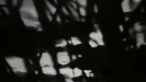 😱👻 You Won't Believe What This Person Caught on Camera! | TheHauntingHour