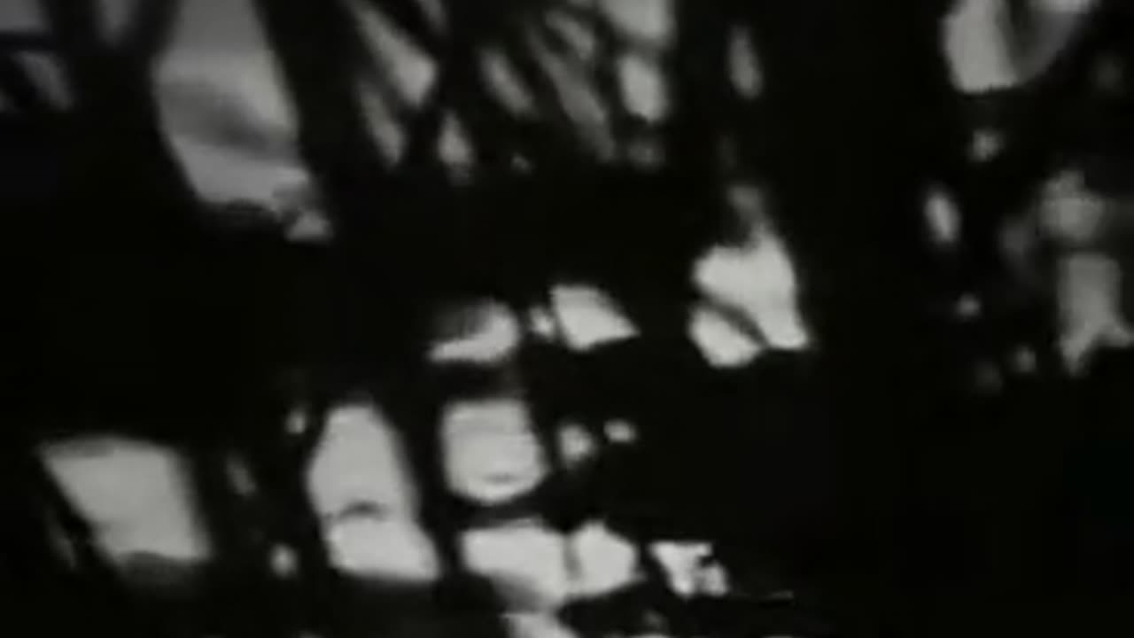 😱👻 You Won't Believe What This Person Caught on Camera! | TheHauntingHour