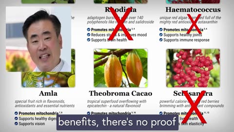 Mitolyn Reviews and Complaints: SCAM or Legit Weight Loss Pill?