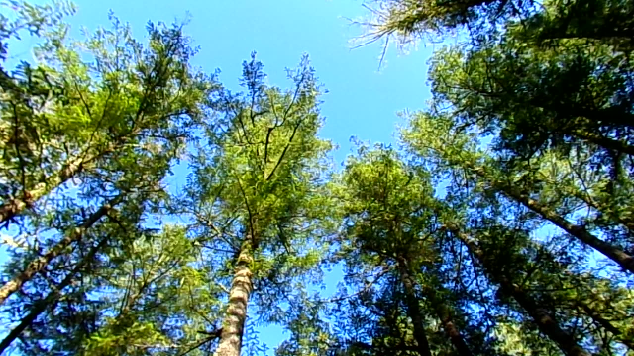 Camp out 10/14-16/25: