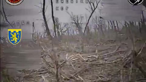 In Sumy region, the operators of Kryla do Pekla continue to beat the occupiers who tried to advance.