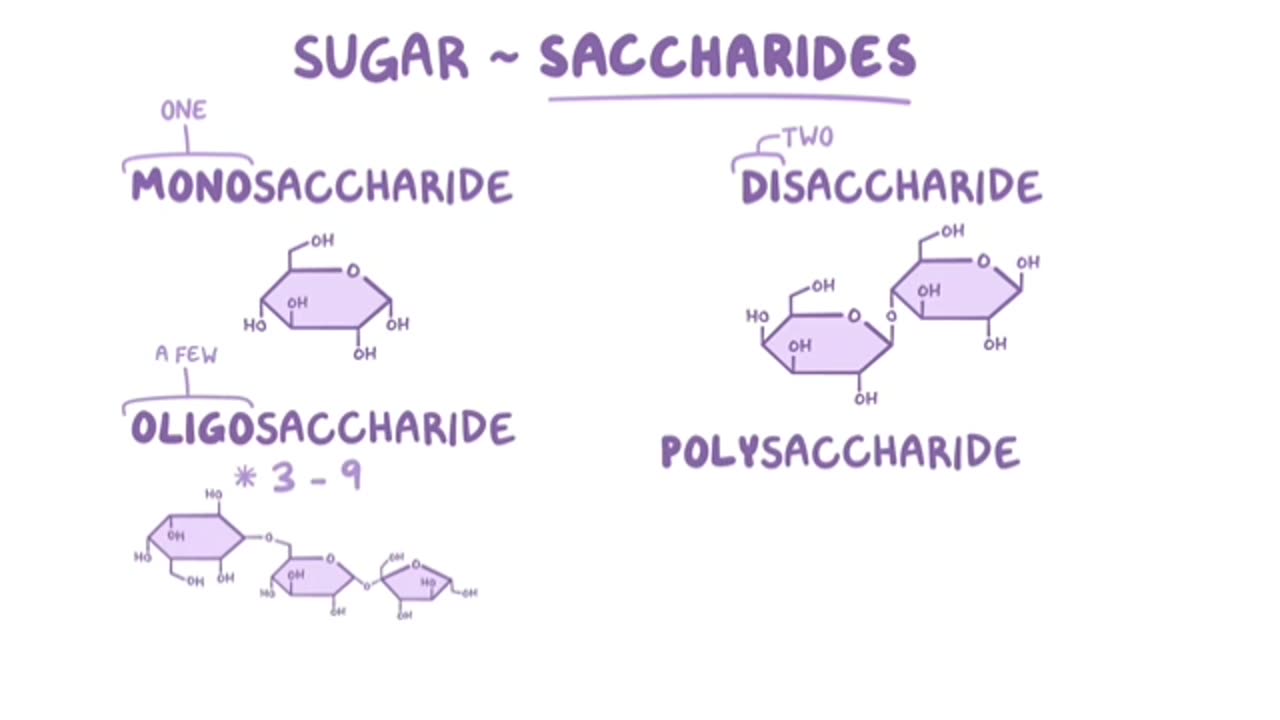 Science behind sugar and protein