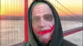 Dogs - People - My Dogs Can Sense Good and Bad!