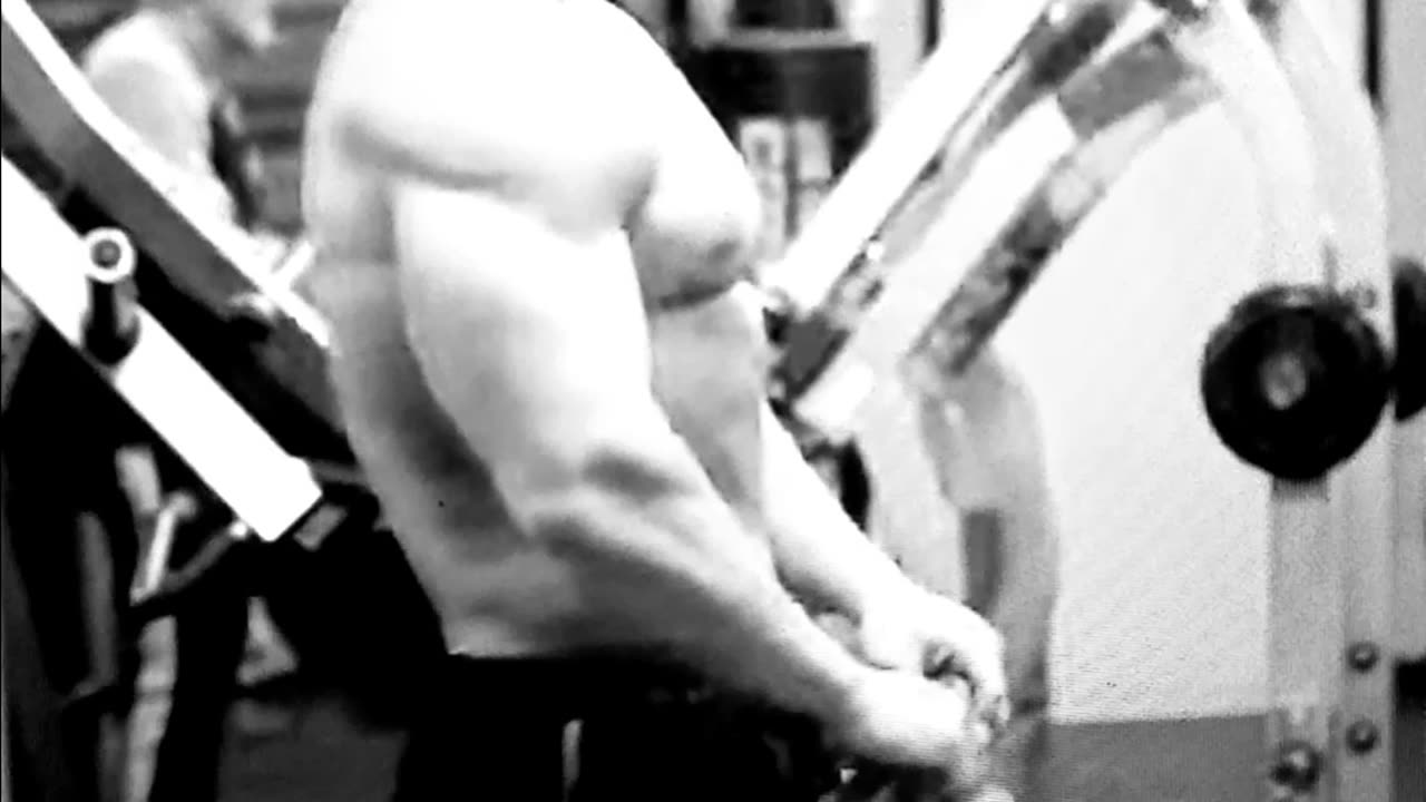 Getting close to competing.....Sam sulek is absolutely shredded