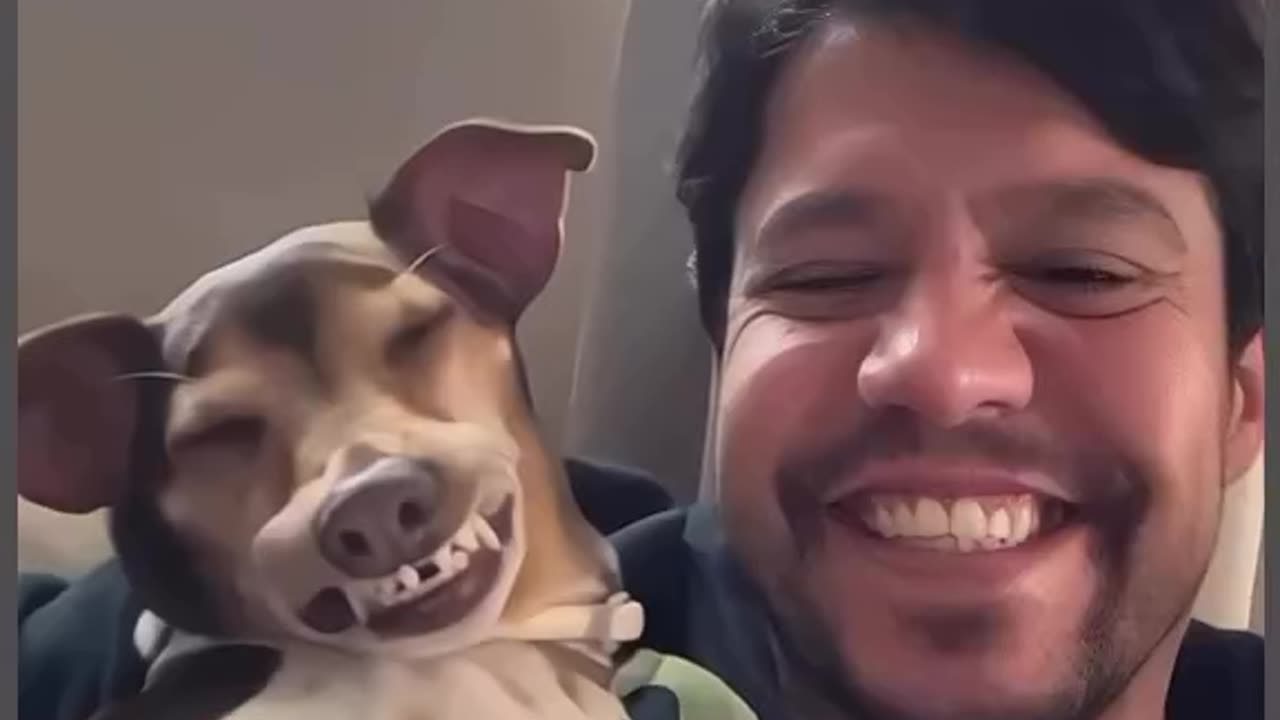 Dogs really do mirror their owners!..
