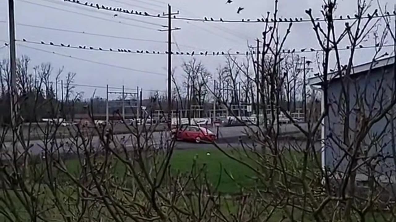 Another way to earn a living