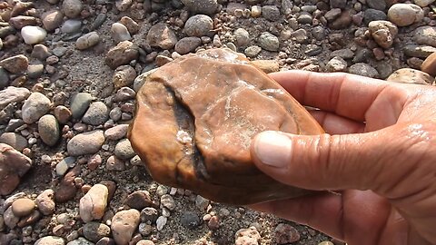 The original forest on flat earth part 16, These rocks are tree parts part 2