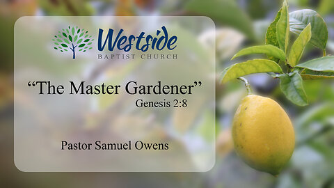 The Lord God Planted a Garden: Why?