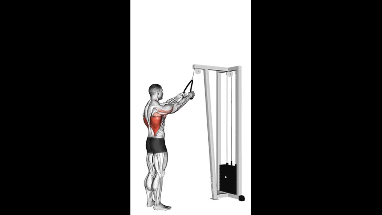 Cable Straight Arm Pulldown Exercise.