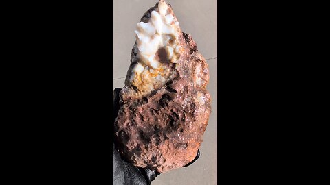 Thunderegg Cluster w Common Opal!
