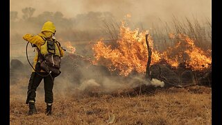 CLIMATE THE MOVIE: THE COLD TRUTH