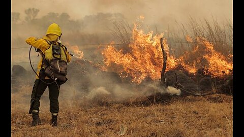 CLIMATE THE MOVIE: THE COLD TRUTH