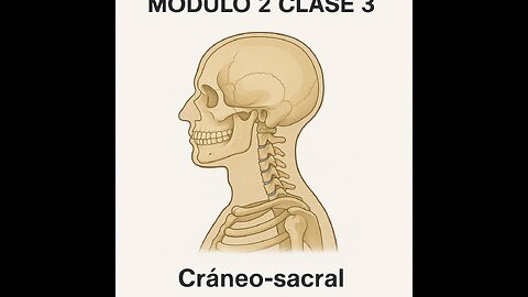 Cráneo-Sacral. Módulo 2. Clase 3