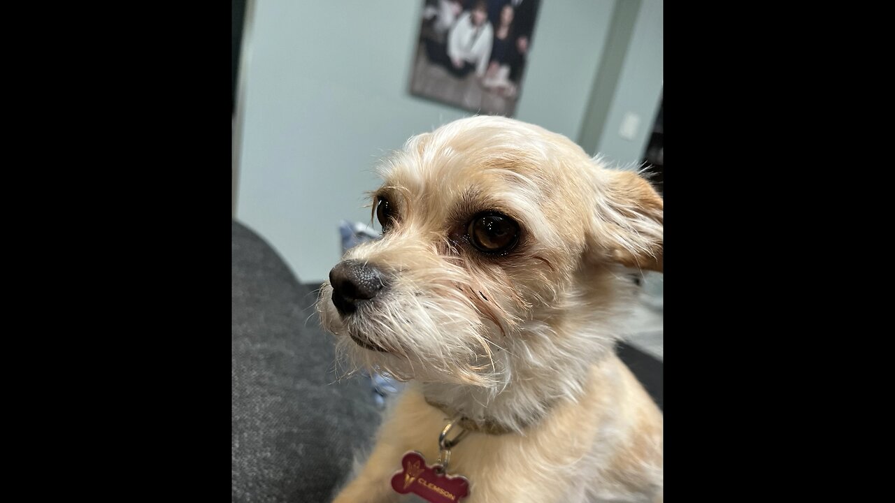 Clemson 5th birthday video