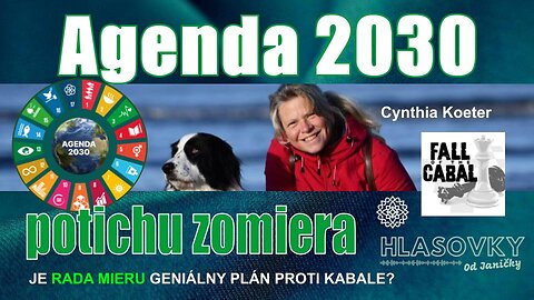 NOSITELIA SVETLA💫: Agenda 2030 potichu zomiera / Je Rada Mieru geniálny plán proti kabale? Hlasovky