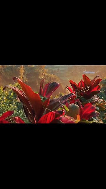 WHEN FACING LIFE'S MOUNTAINS & DAILY DEVOTIONAL ❤️