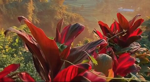 WHEN FACING LIFE'S MOUNTAINS & DAILY DEVOTIONAL ❤️