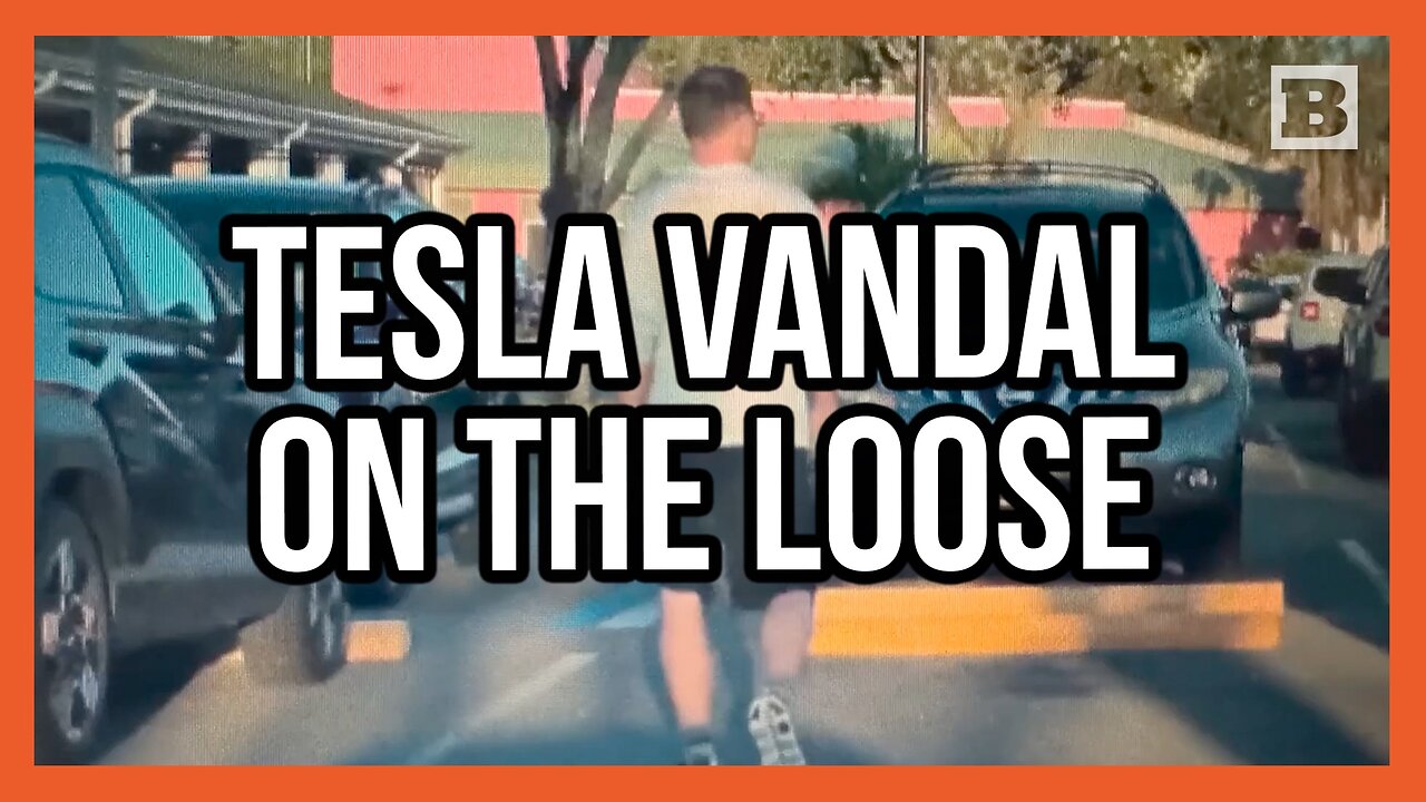 Tesla Vandal on the Loose! Police Searching for Suspect Who Damaged 3 Vehicles