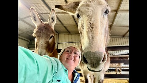 Voice of Freedom Nov 1. The CIAtlas Comet, The Aussie Cossack issues & more