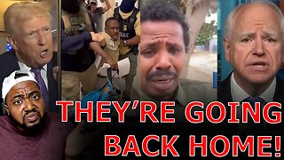 Somali's BREAKDOWN IN TEARS Over BEING Deported As Tim Walz IMPLODES Over Trump Exposing Fraud!