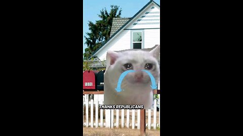 replace the cats by lizards