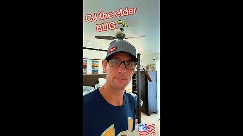 ❤️ CJ, the Boxelder bug