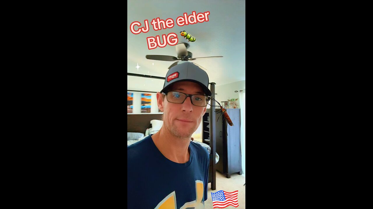 ❤️ CJ, the Boxelder bug