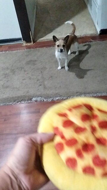 Jacinto lives his pizza