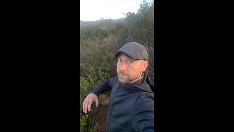 Astrology Dec 28-Jan 3