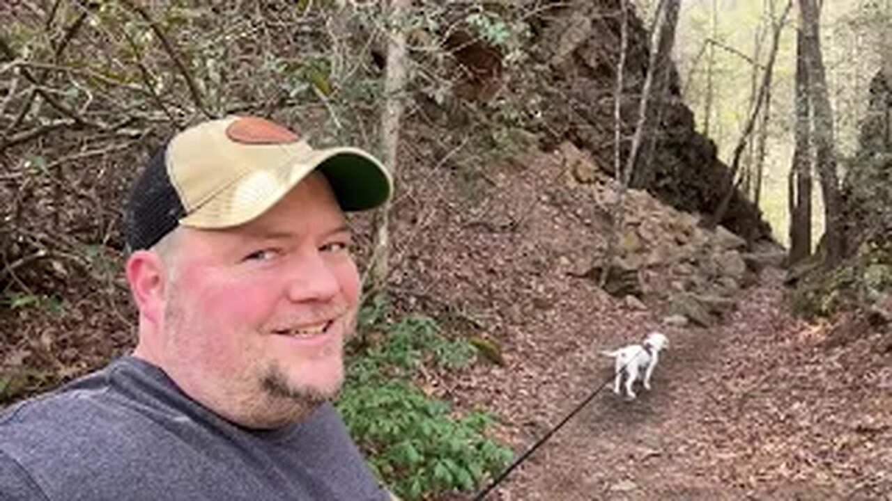 Appalachian Trail at Dennis Cove - Hampton Tennessee - Trail Training a Rescue Dog