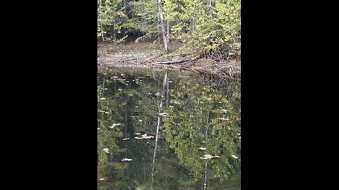 God is good all the time 1459: Hypocrisy, The Double Standard