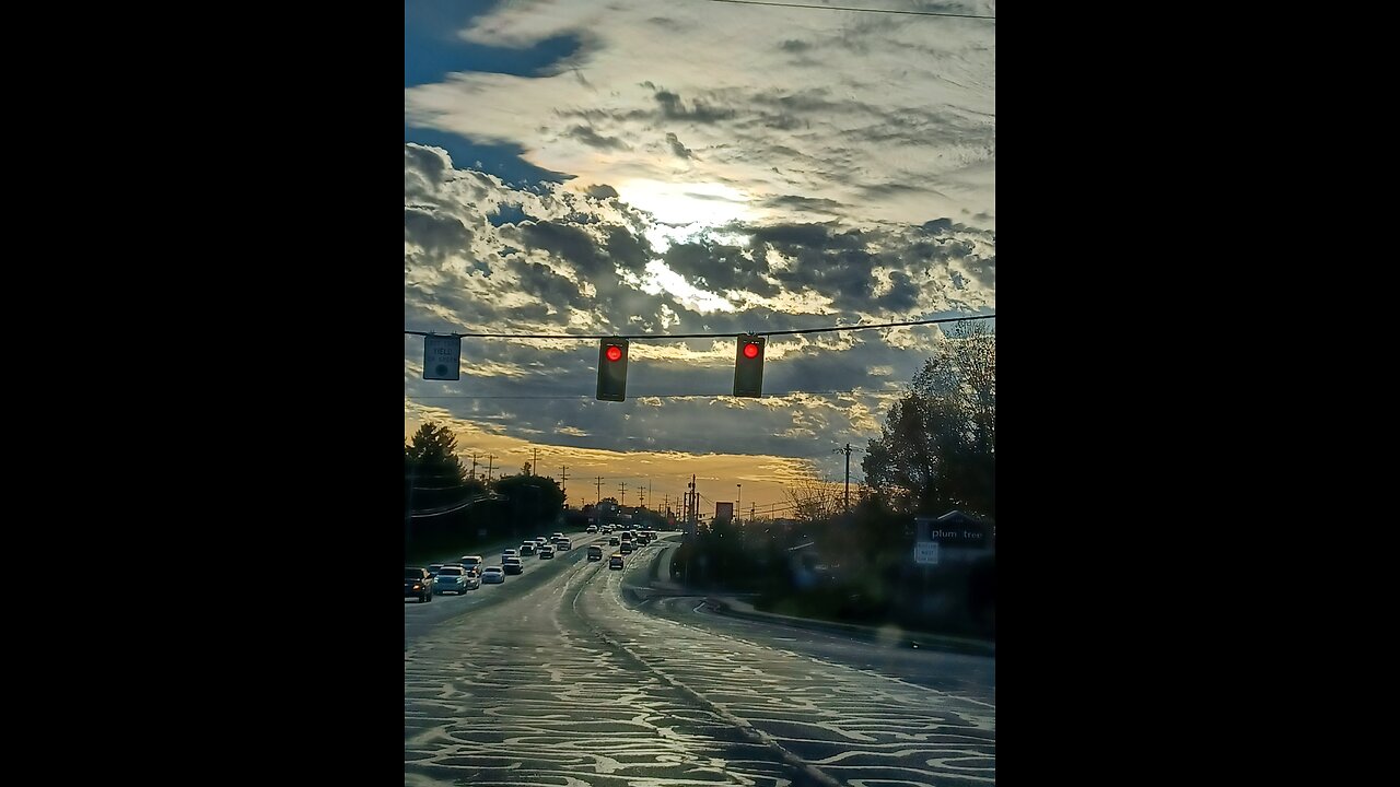 Cold Plunge Meditation Diary #16 11/05/2025