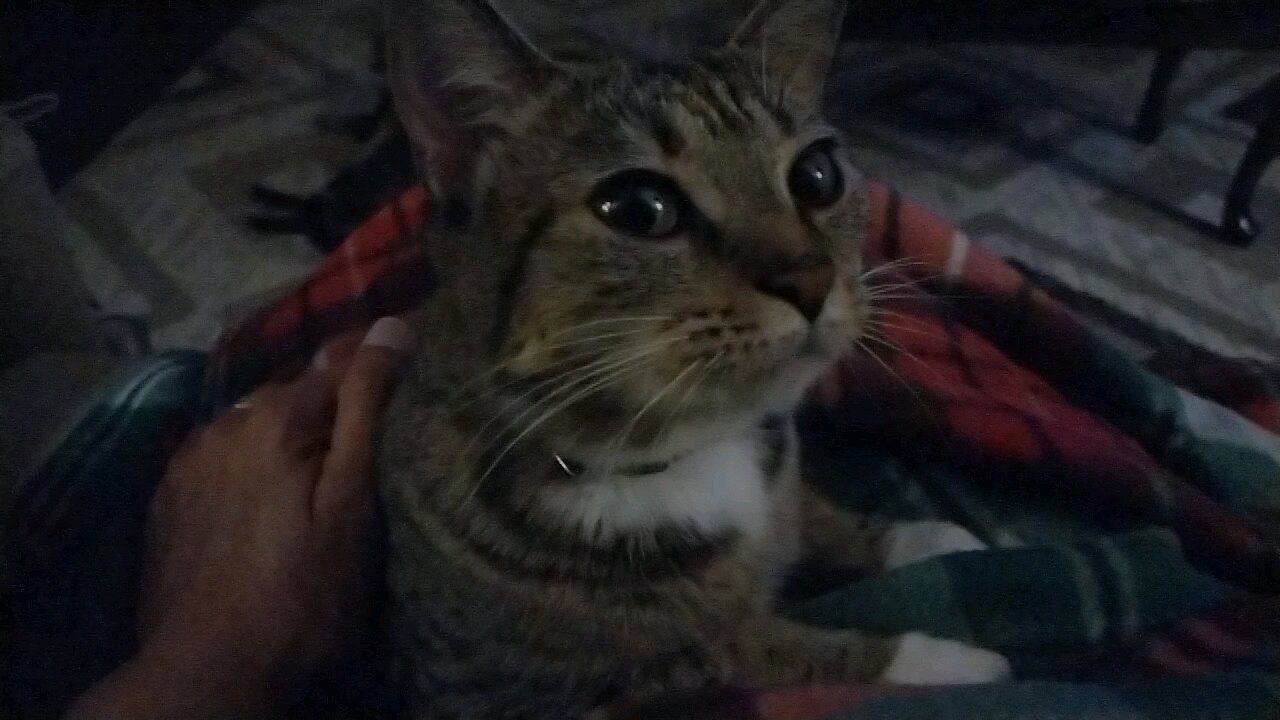 Recording gone wrong.