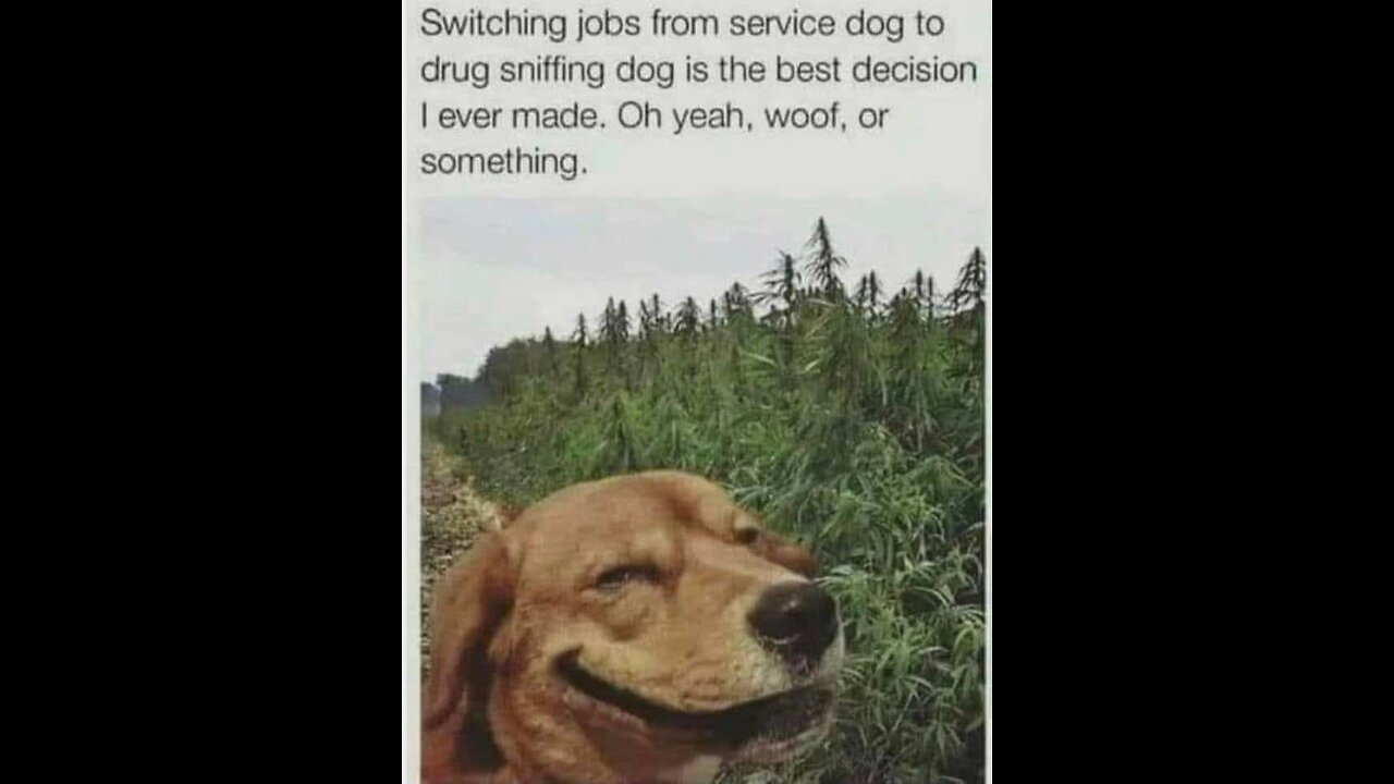 Just fucked up big time lol