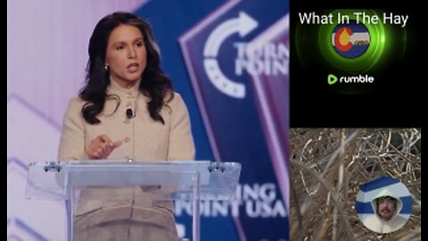 ISLAM IS OUR GREATEST THREAT! WARNS Director of National Intelligence Tulsi Gabbard