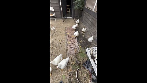 I hope you not quiting?