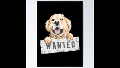 Dash, Bear, Abby, Hugo, Jazz, Luna, Nero, Lucy, Finn, Lexi, Hope, Cleo, Chic, Gigi