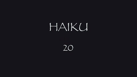 HAIKU 20