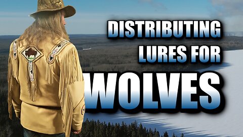 Making and Setting WOLF LURES