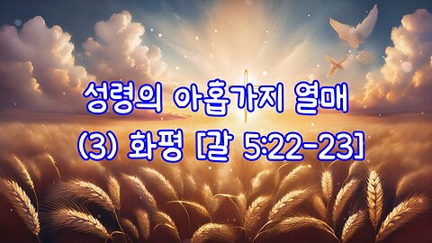 성령의 아홉가지 열매 (3) 화평 [갈 5-22-23]
