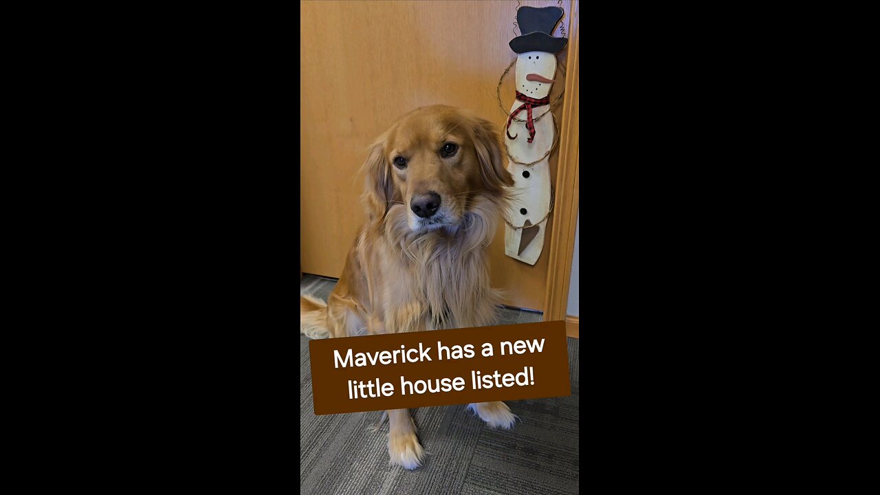 Maverick has a new little house listed!