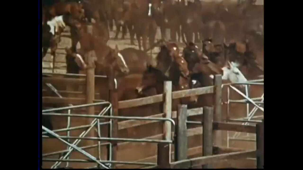 Faces Of Australia 1968