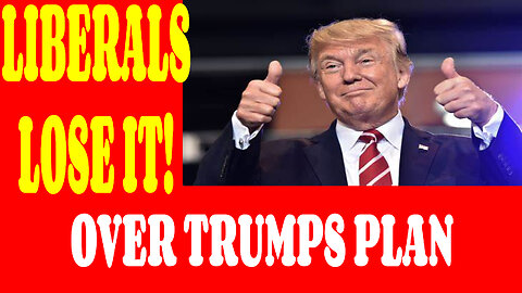 TRUMPS BOLD PLAN TO ACQUIRE Greenland, Panama Canal, and Canada: LIBERAL MEDIA MELTS DOWN