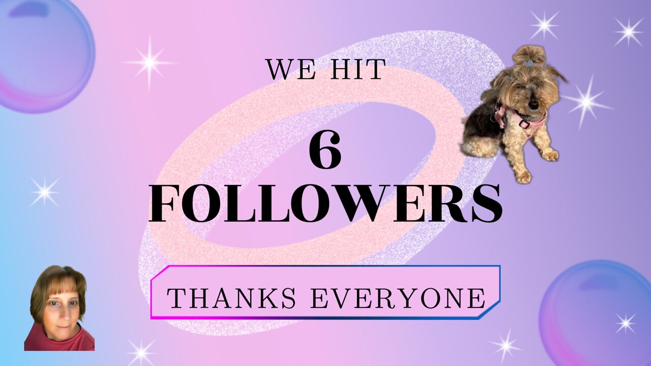 A Peaceful Pause: Flowers, Tangerines & My Pup