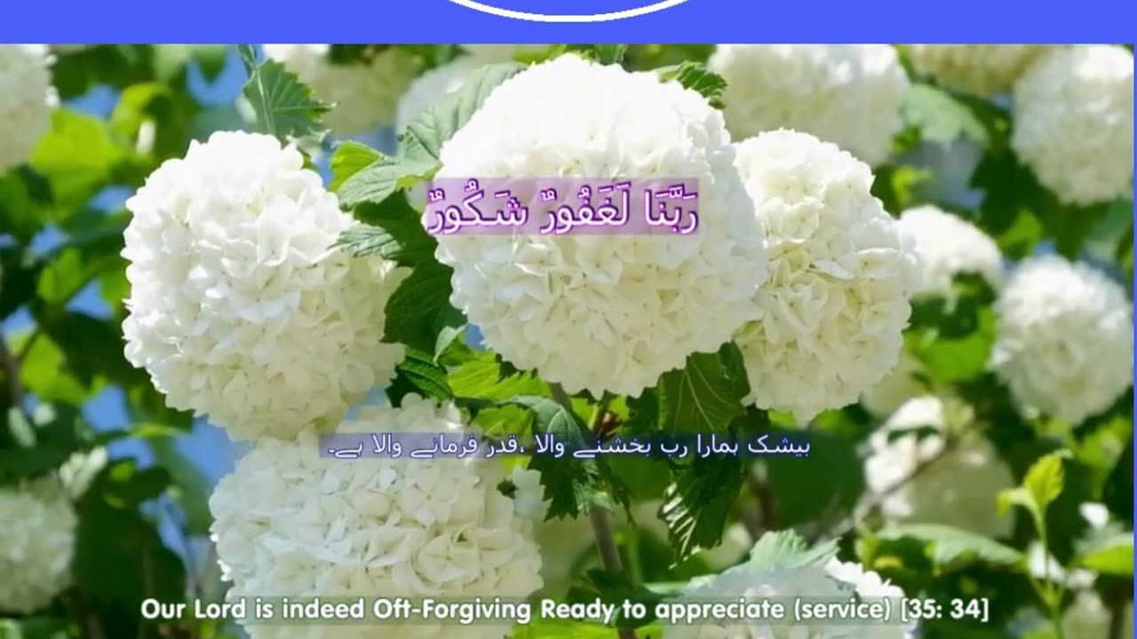 Top 40 Rabbana Duas Every Muslim Should Know (dua no 33) #shorts