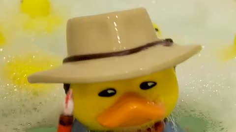 With Ducks