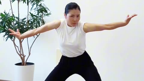 1104.增肌快練纏絲