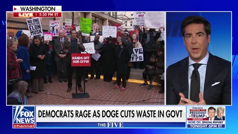 Dems Rage as DOGE cuts waste in government