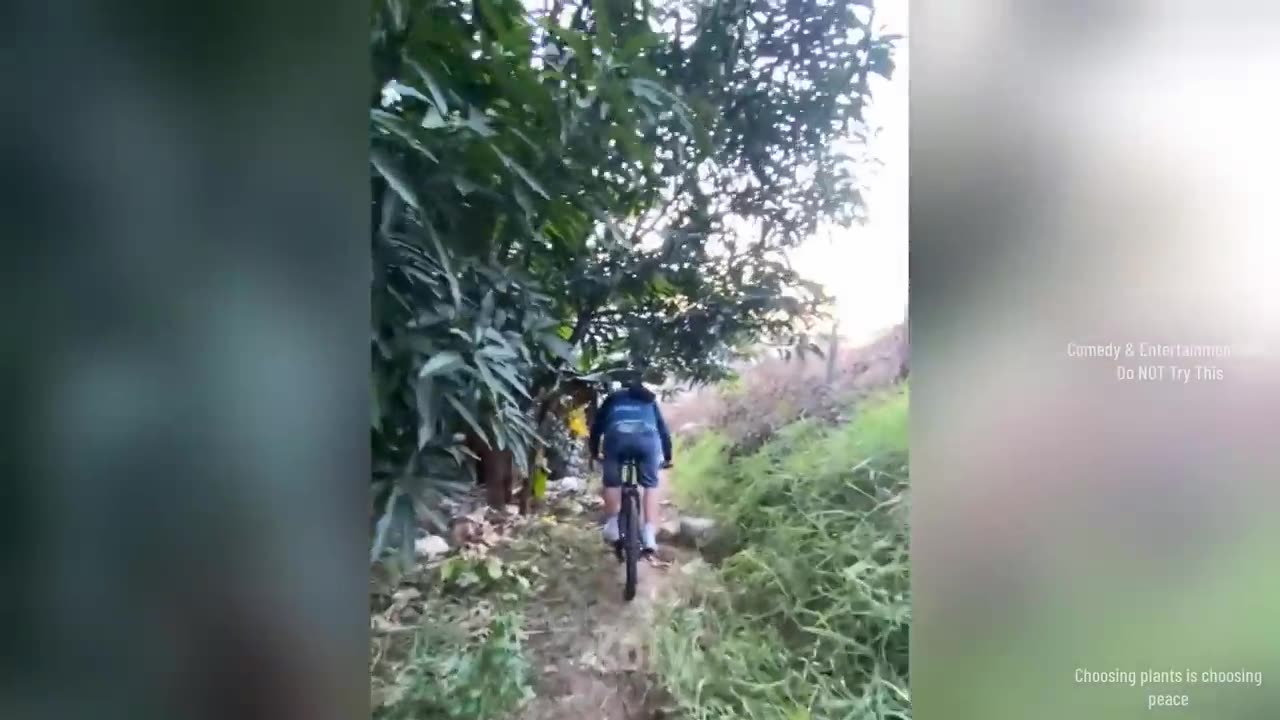 The Hardest Funny Videos Challenge 😂 Memes & Fails