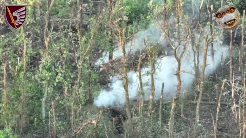 Ukrainian Paratroopers Neutralize 30+ and Capture Russian Positions Near Maryinka